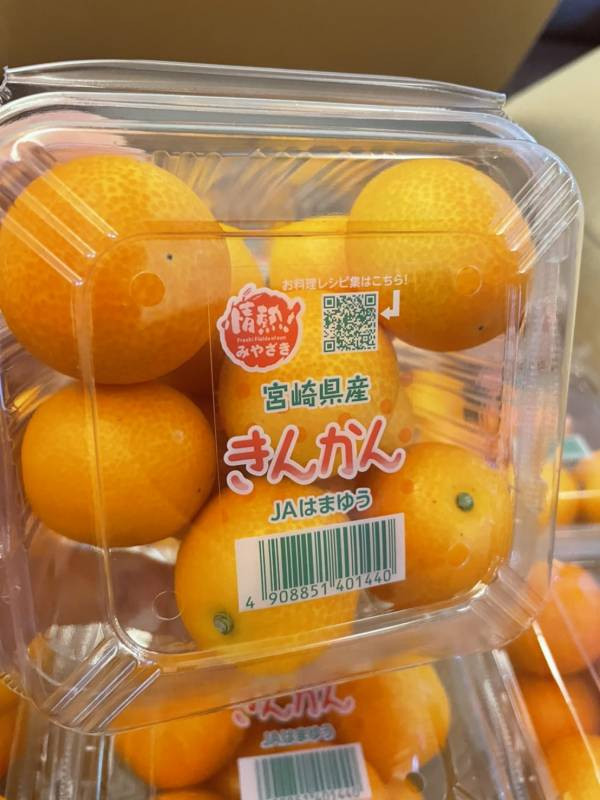 日本宮崎縣金桔 