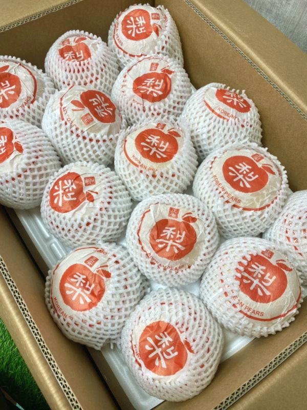 【大果】韓國新高梨 