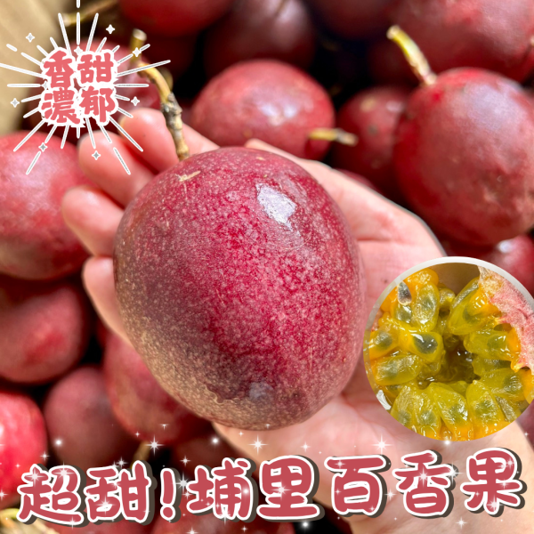 埔里吊網百香果 