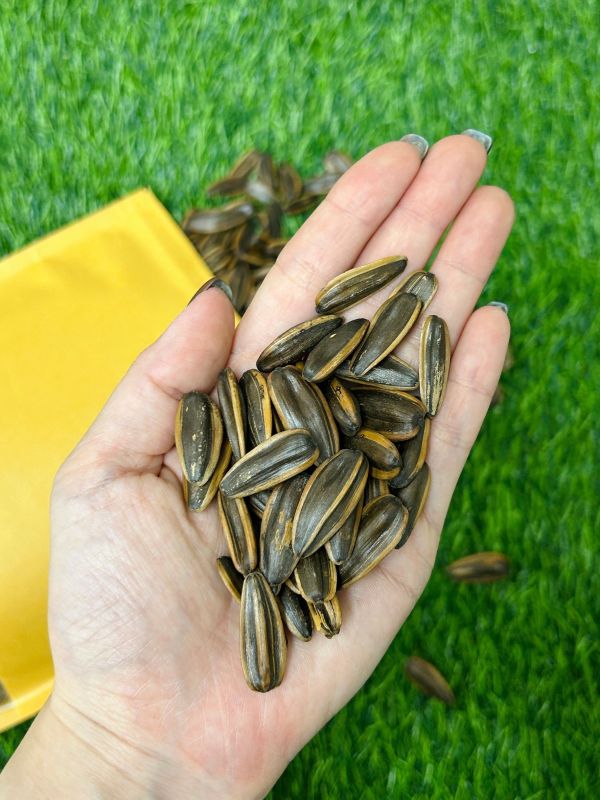 <少量零購>蒸烹食水煮葵瓜子 