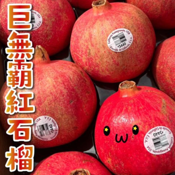 巨無霸大果美國紅石榴 