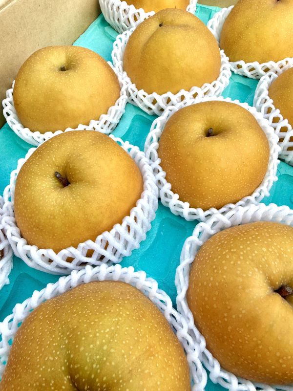 日本長野新高梨 