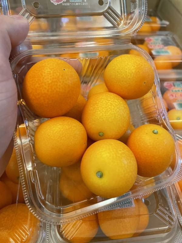 日本宮崎縣金桔 