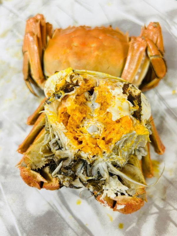 江蘇大閘蟹【5.2~5.7兩】 