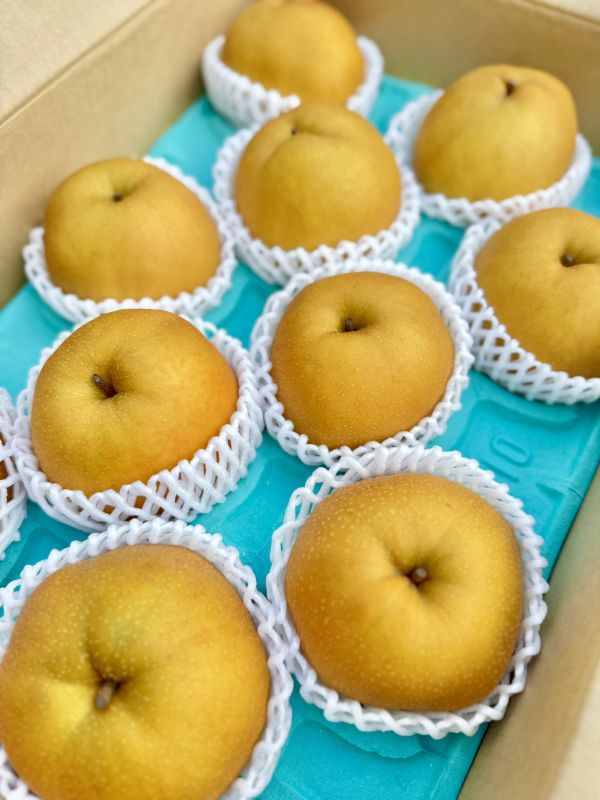 日本長野新高梨 