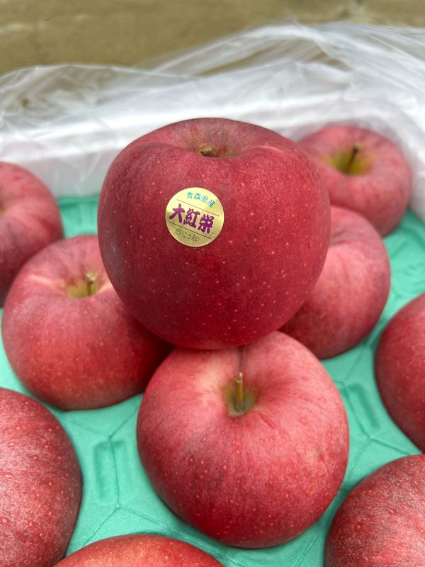 (大果)日本青森大紅榮蘋果26規 