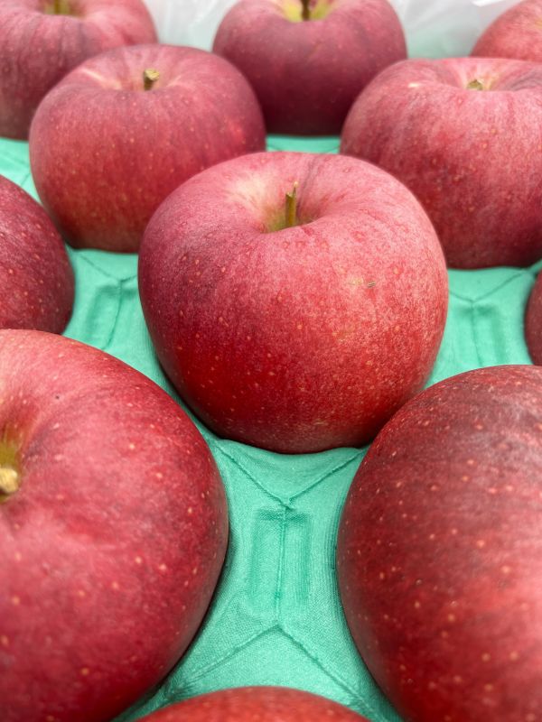 (大果)日本青森大紅榮蘋果26規 