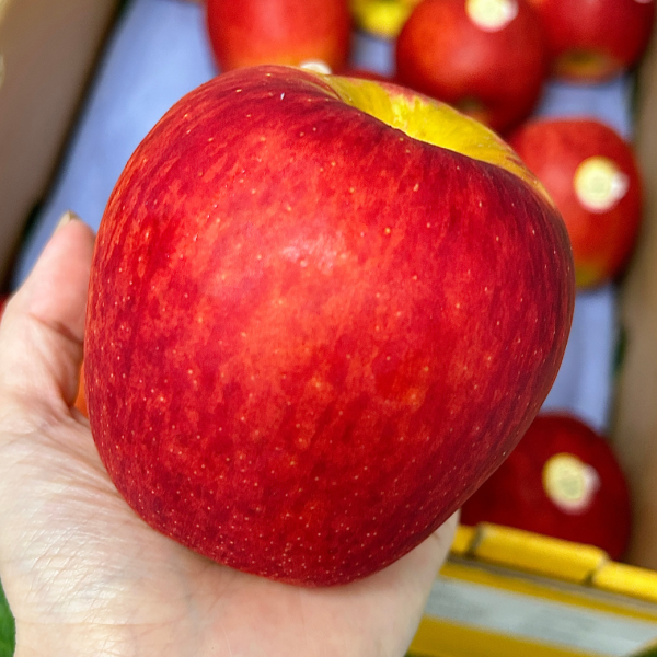 紐西蘭水蜜桃蘋果 