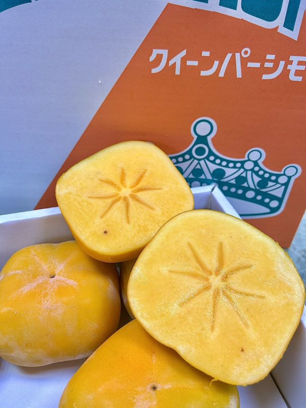 和歌山巨無霸【皇后柿】 