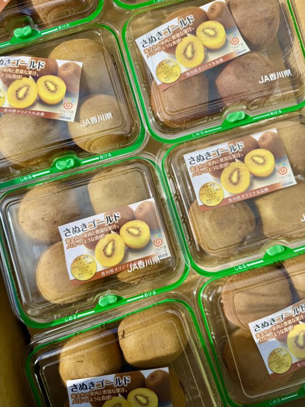 日本香川黃金奇異果pc盒 