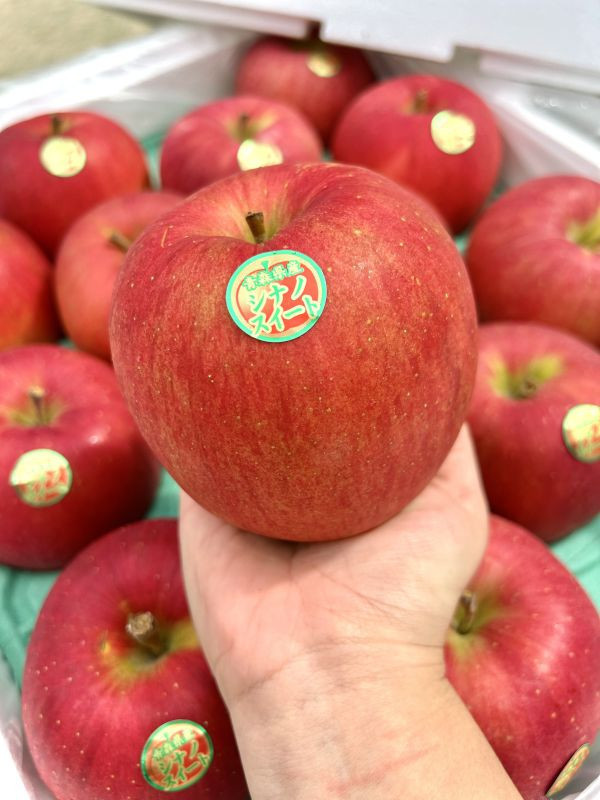 <少量零購>紅顏姬蘋果(中果) 