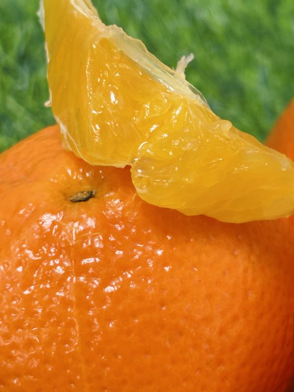 《澳洲空運》【金茂谷】蜜柑 