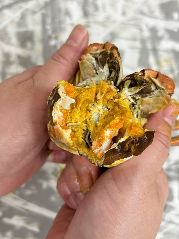 江蘇大閘蟹【4~4.5兩】 