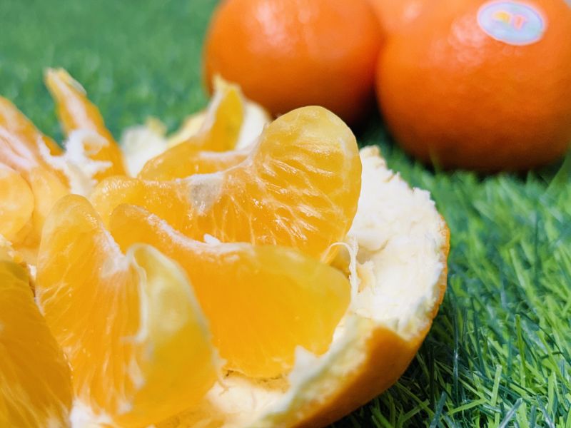 《澳洲空運》【金茂谷】蜜柑 