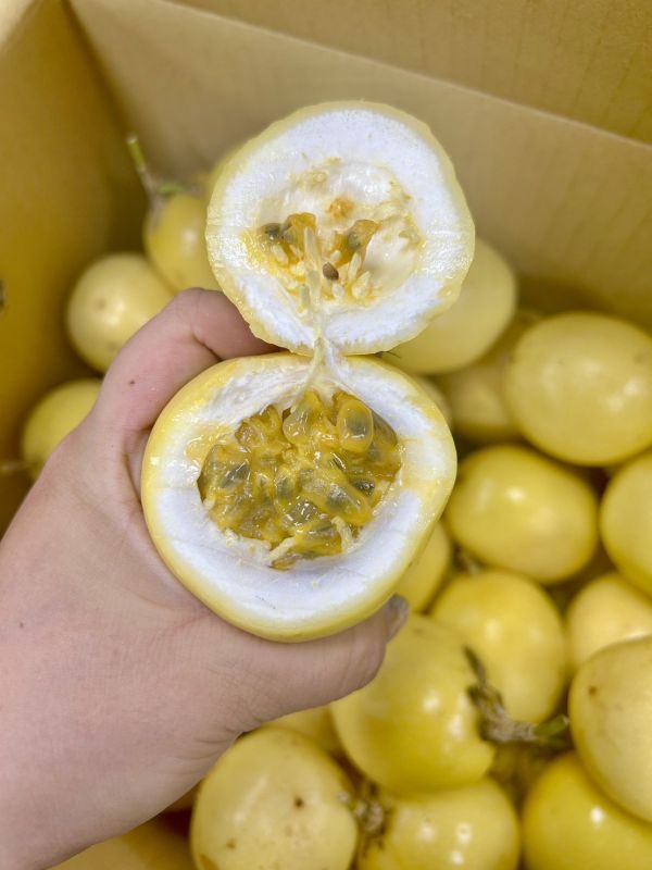 【香甜】黃金百香果 