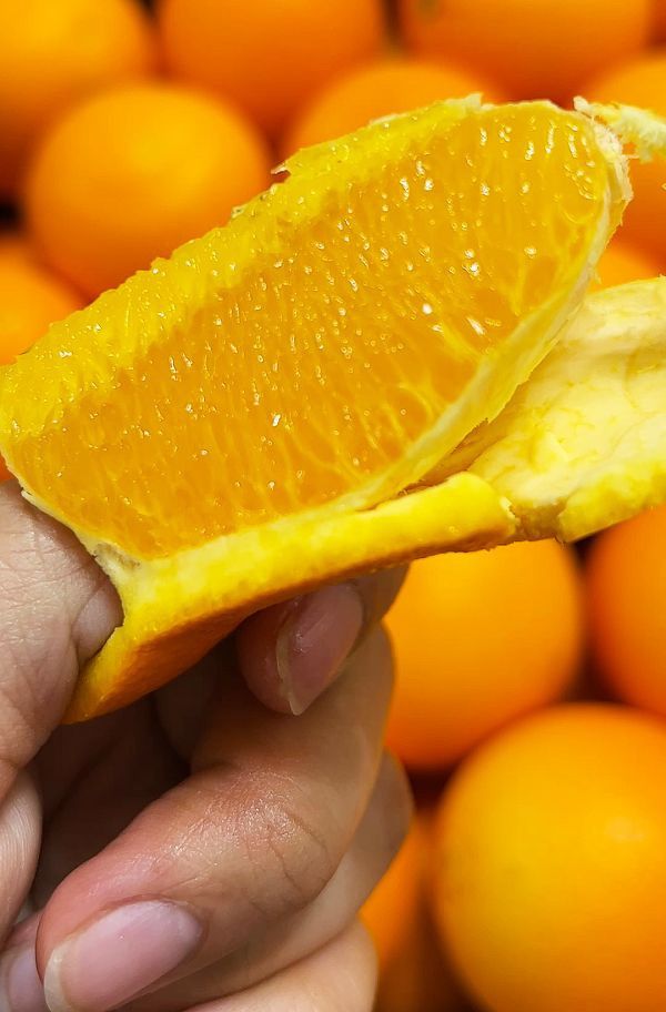 <少量零購>美國無籽超多汁肚臍橙 