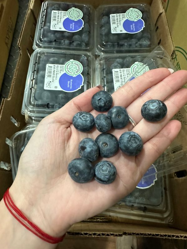 <少量零購>祕魯藍莓盒裝 