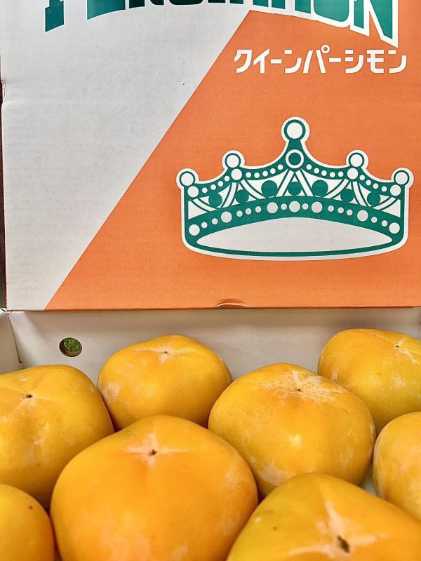 <少量零購>和歌山巨無霸【皇后柿】 