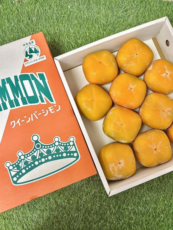 <少量零購>和歌山巨無霸【皇后柿】 
