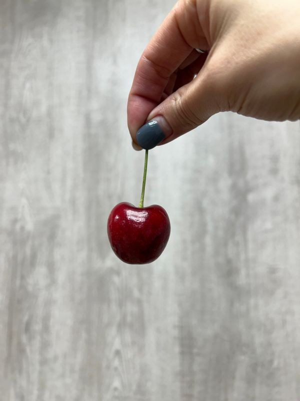 大果智利櫻桃【30m】 