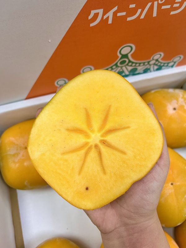 <少量零購>和歌山巨無霸【皇后柿】 