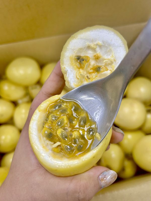 【香甜】黃金百香果 