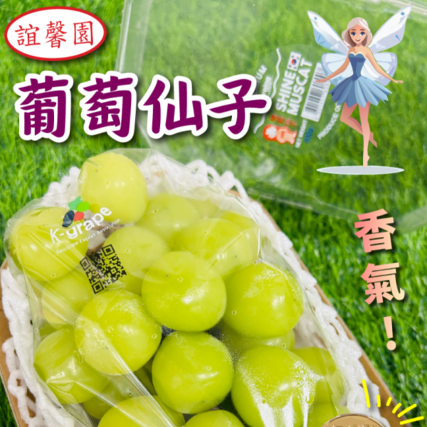 【葡萄仙子】韓國麝香 