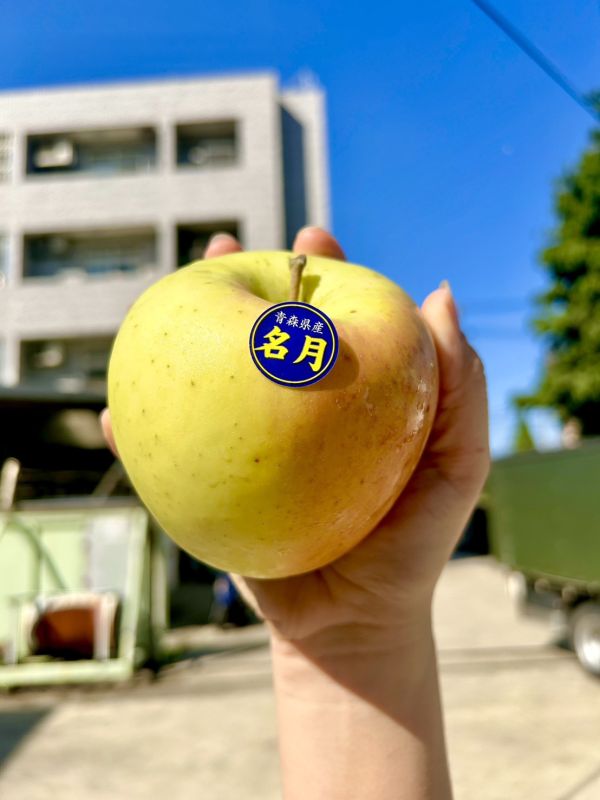 (大果)青森名月蜜蘋果 
