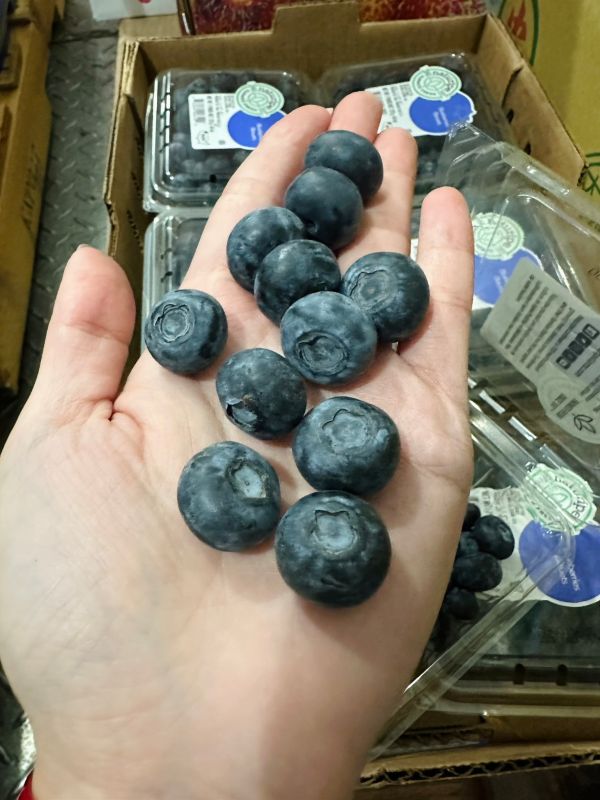 <少量零購>祕魯藍莓盒裝 