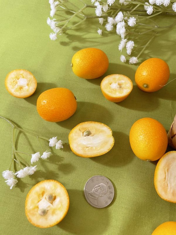 日本宮崎縣金桔 