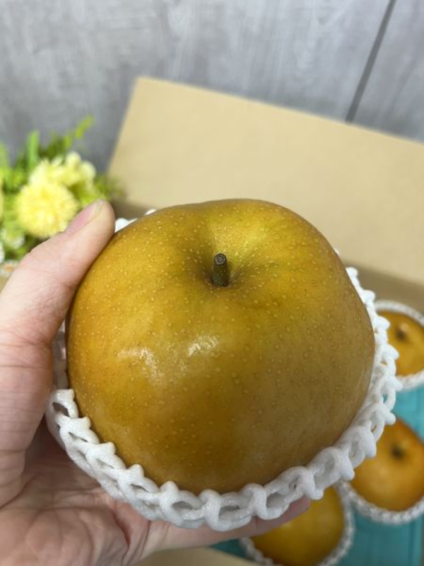 <少量零購>長野新高梨 