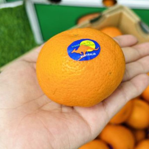 <少量零購>【澳洲金茂谷】蜜柑 