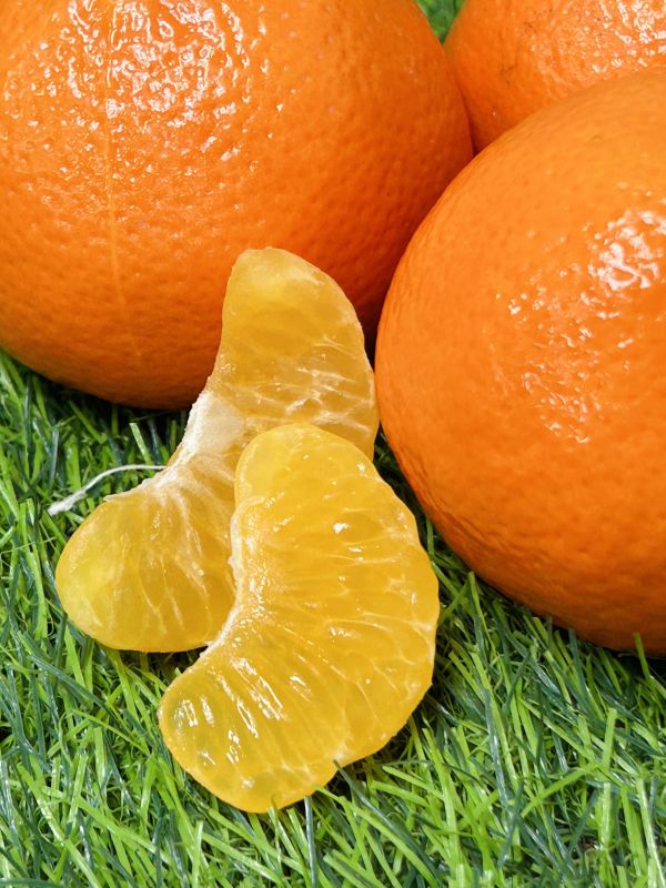 《澳洲空運》【金茂谷】蜜柑 