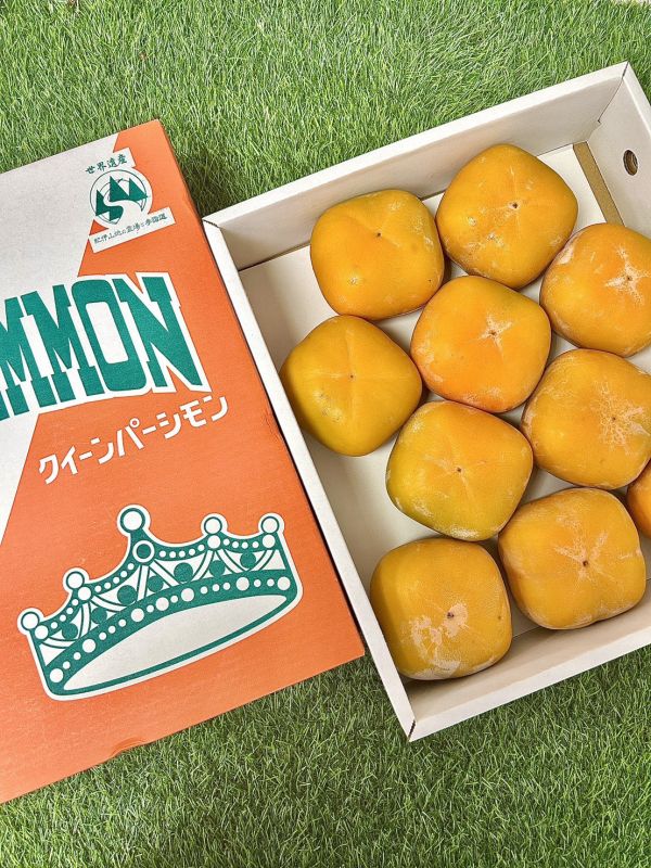 和歌山巨無霸【皇后柿】 