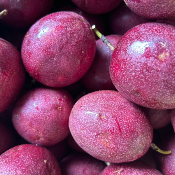 埔里吊網百香果 