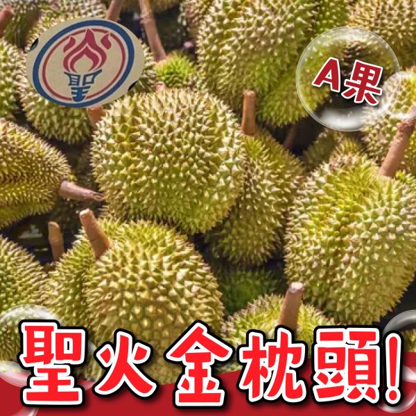【聖火】金枕頭榴槤 