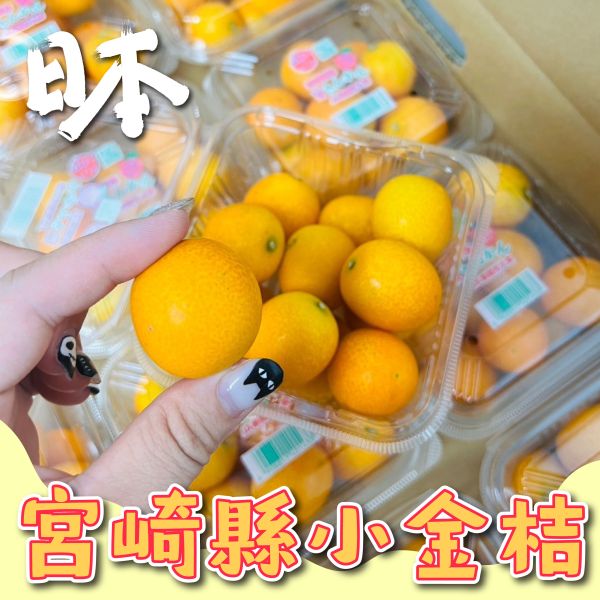 日本宮崎縣金桔 