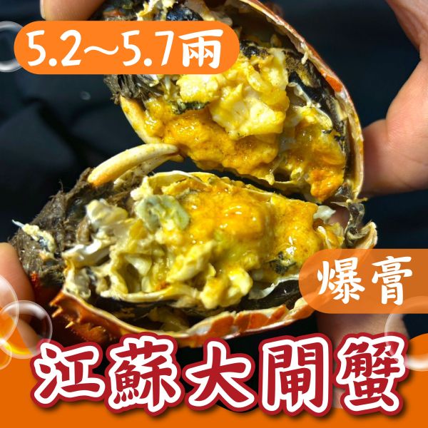 江蘇大閘蟹【5.2~5.7兩】 