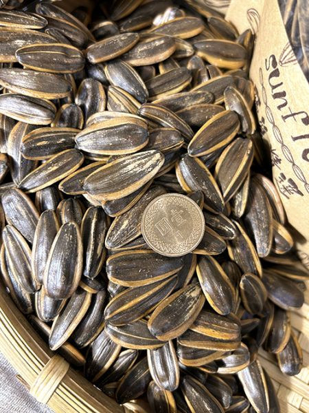 <少量零購>蒸烹食水煮葵瓜子 