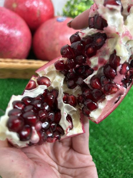 <少量零購>巨無霸美國紅石榴 