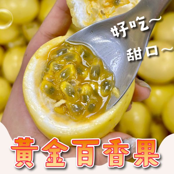 【香甜】黃金百香果 