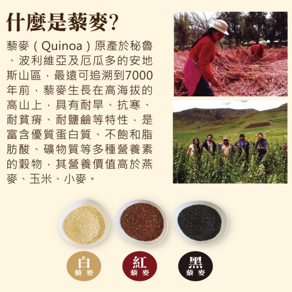 【Smile99】宅在家吃麵是一種幸福 宅麵館藜麥寬拌麵-菇菇香蔥風味(112gx3入) Smile99宅麵館,藜麥寬拌麵,菇菇經典,菇菇香蔥,菇菇椒麻,全營養食物紅藜麥,紅藜麥營養成分,日曬麵,非油炸,特殊八道壓延工法採,香菇口感實體醬料,無防腐劑,無添加人工色素