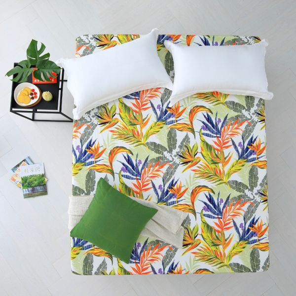 Cozy inn天堂-綠-300織精梳棉三件式床包枕套組-加大 