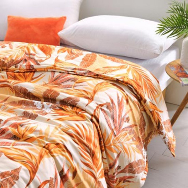 Cozy inn  雙人  天堂-咖-300織精梳棉-涼被 100%精梳棉,涼被,精梳棉涼被,天堂-咖,雙人