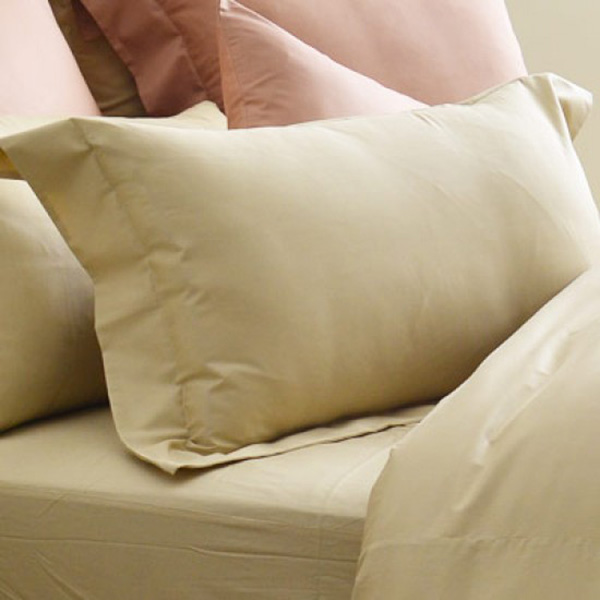 Cozy inn  加大  簡單純色-奶茶金-200織精梳棉薄被套床包組 100%精梳棉,薄被套,被套床包組,精梳棉床包組,奶茶金,加大