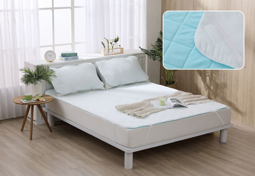 LAMINA天絲天使絨冬夏保潔墊枕用兩入(混款) 