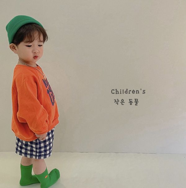 好閃夏天色系｜動物中筒襪 