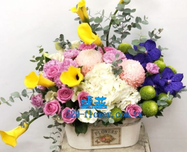 賀禮盆花~海芋賀禮盆花 台中鴻花花店代客送花-會議盆花,接待桌花,婚禮簽到桌花,賀禮盆花,開店賀禮盆花,會場氛圍提升,開店儀式感盆花,藝術盆花,代客送花,全程保密,珍惜所託