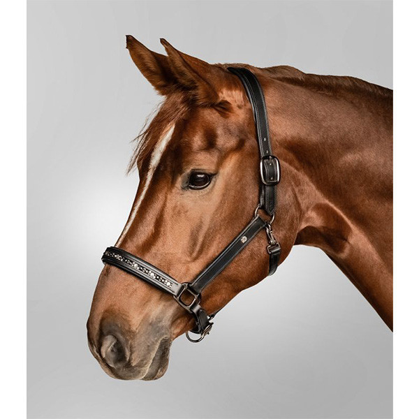 皮製籠頭 (黑色/棕色/貼鑽/FULL) 