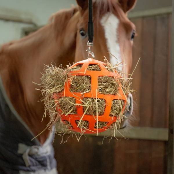 馬用慢食遊戲球 (綠色/22CM) 